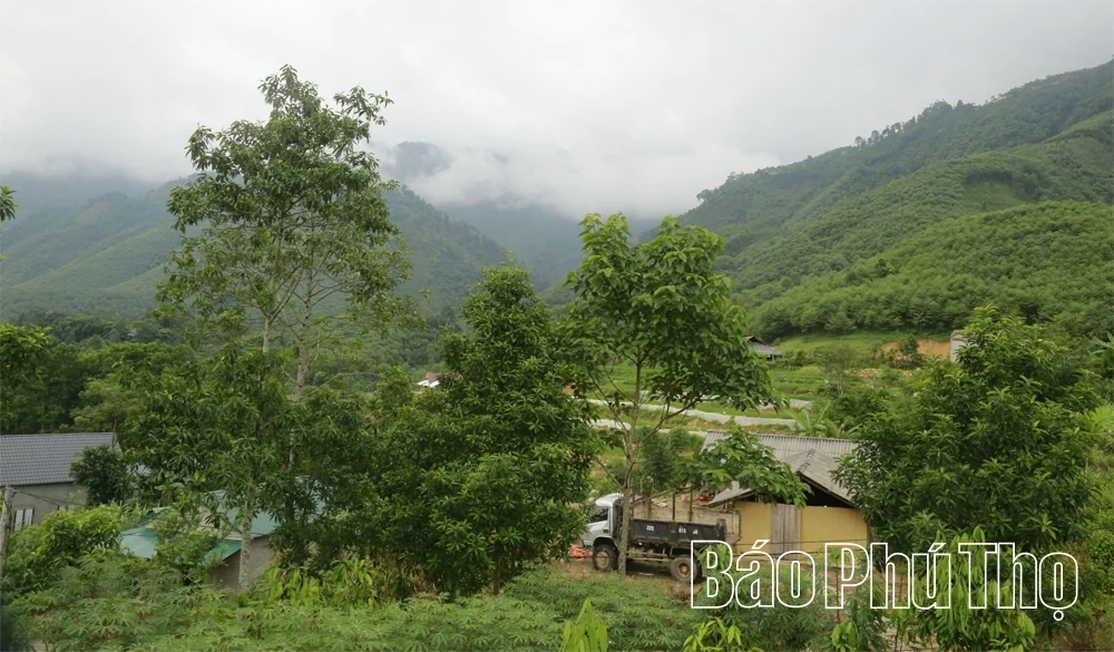 Thủ lĩnh hạ sơn - Kỳ 3: An cư để lạc nghiệp
