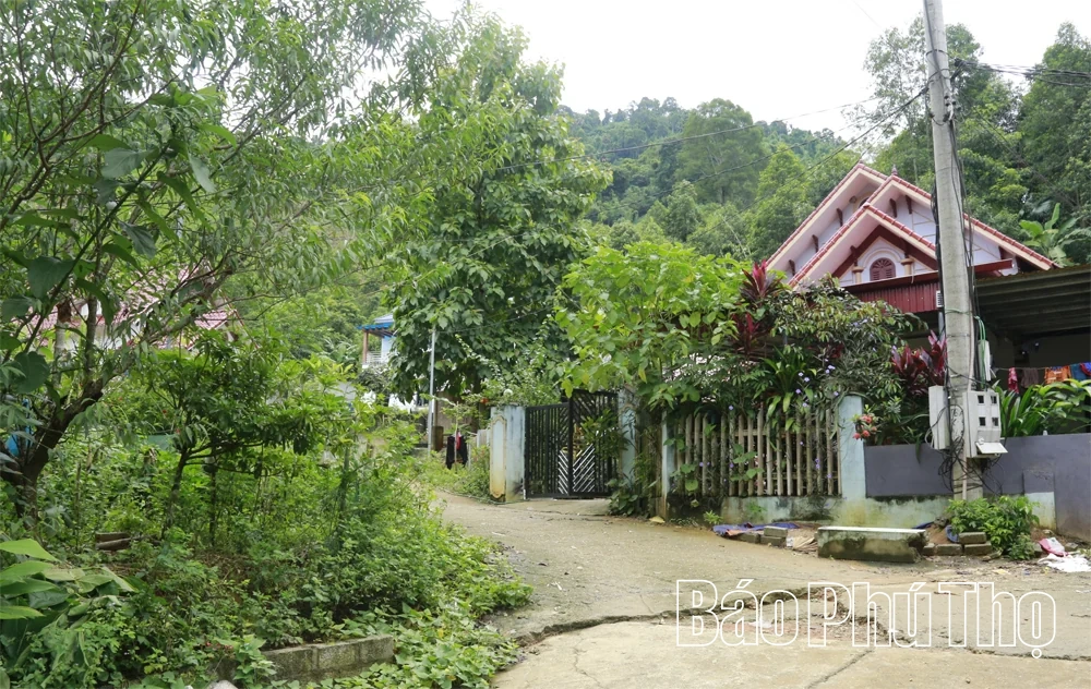 Thủ lĩnh hạ sơn - Kỳ 3: An cư để lạc nghiệp