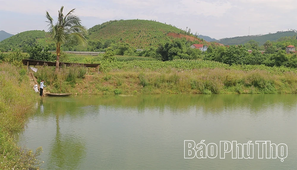 Cự Đồng phát triển kinh tế xanh, bền vững