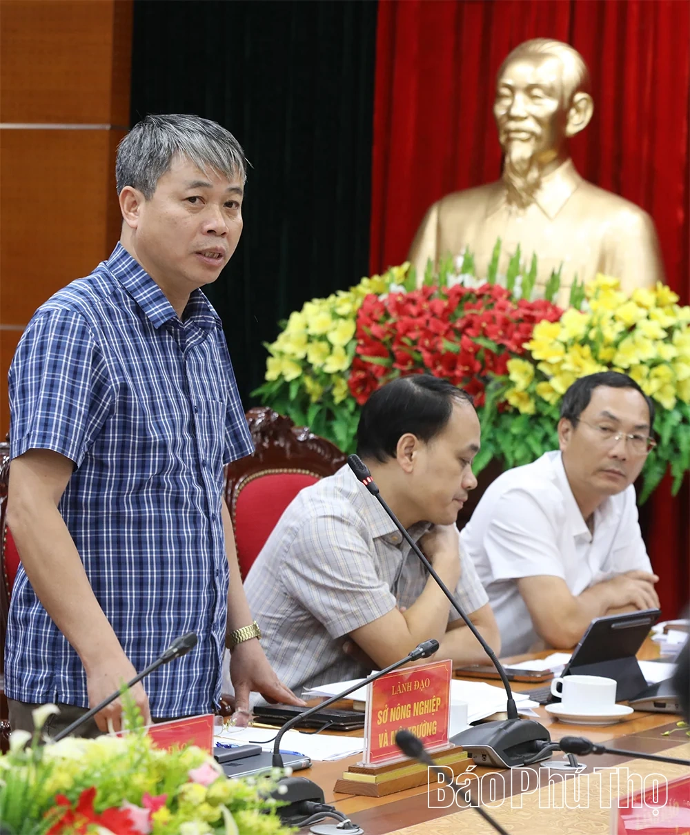 Tập trung tháo gỡ điểm nghẽn, đẩy nhanh tiến độ 8 dự án giao thông trọng điểm khu vực Hòa Bình