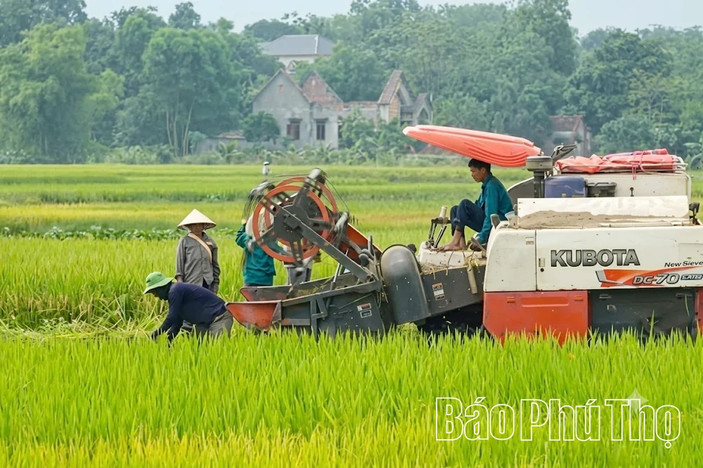 Đại Đồng tạo đà thúc đẩy phát triển kinh tế - xã hội