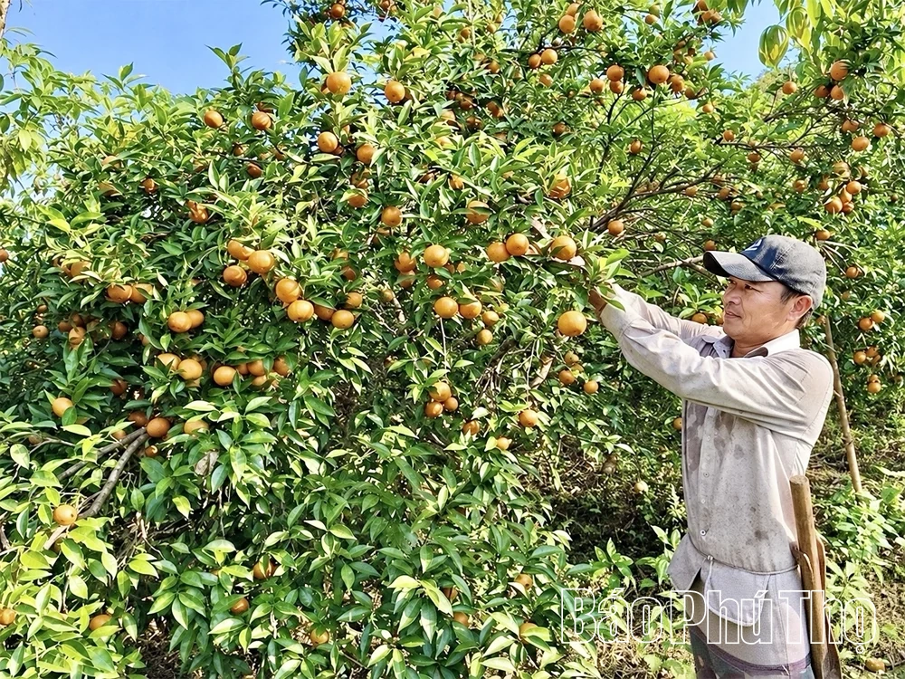 Tân Pheo trao sinh kế, mở hướng thoát nghèo