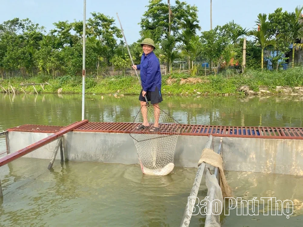 Nuôi thủy sản ứng dụng công nghệ gia tăng giá trị