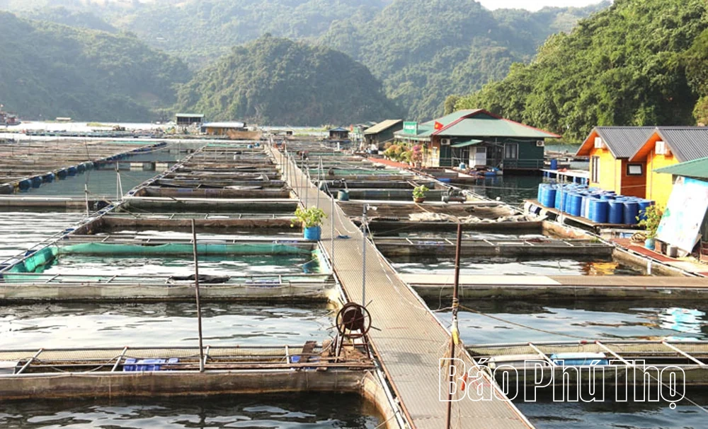 Nuôi thủy sản ứng dụng công nghệ gia tăng giá trị