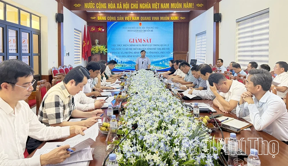 Giám sát thực hiện chính sách, pháp luật trong quản lý nhà nước về đô thị