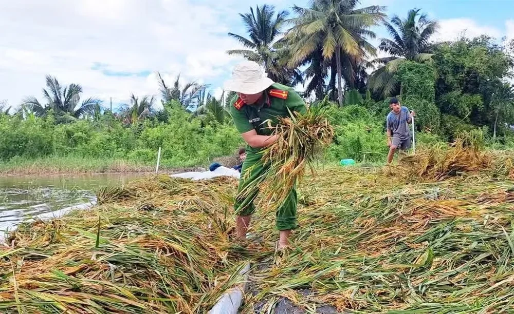Nhận diện và phòng ngừa âm mưu lợi dụng “quyền dân tộc tự quyết”