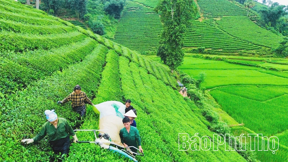 Nghị quyết về “du lịch xanh” ở Long Cốc