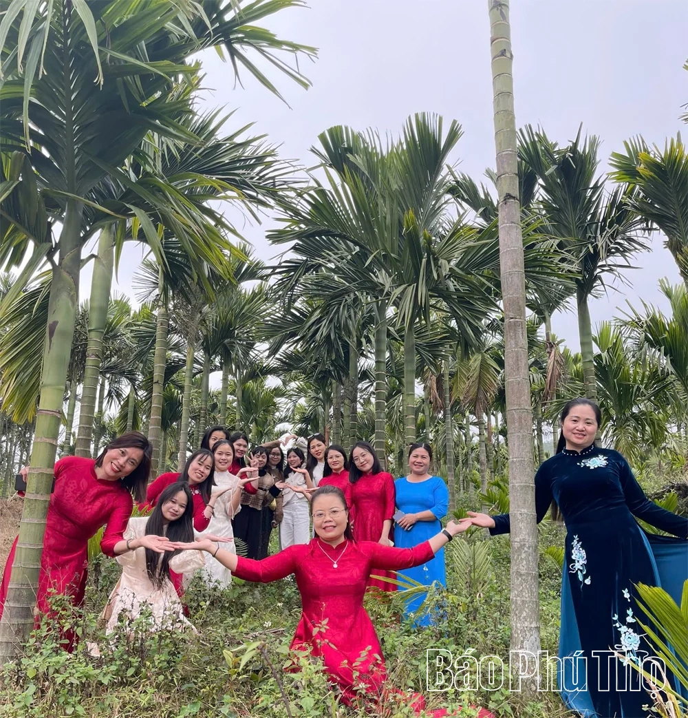 Cau ngoại bén rễ, đất rừng thơm hương