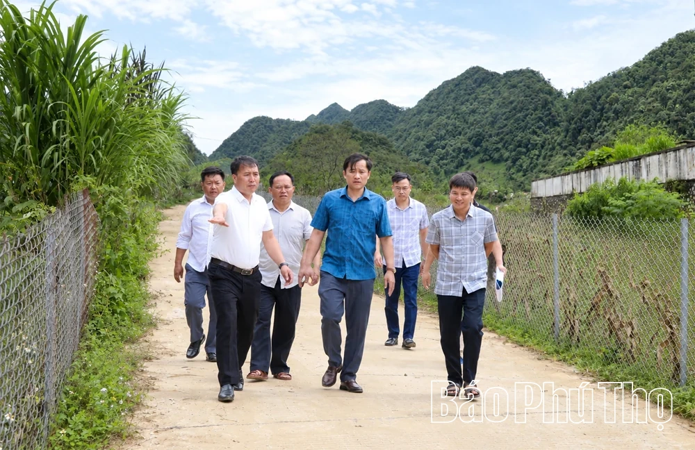Những con đường mở lối sinh kế ở Pà Cò