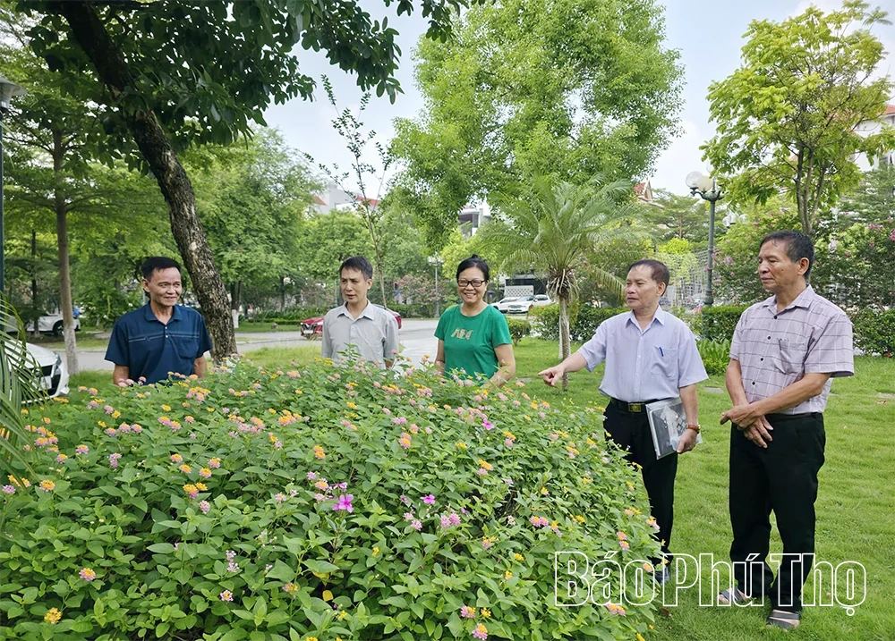 Hiệu quả bước đầu từ sáp nhập thôn, xóm, tổ dân phố