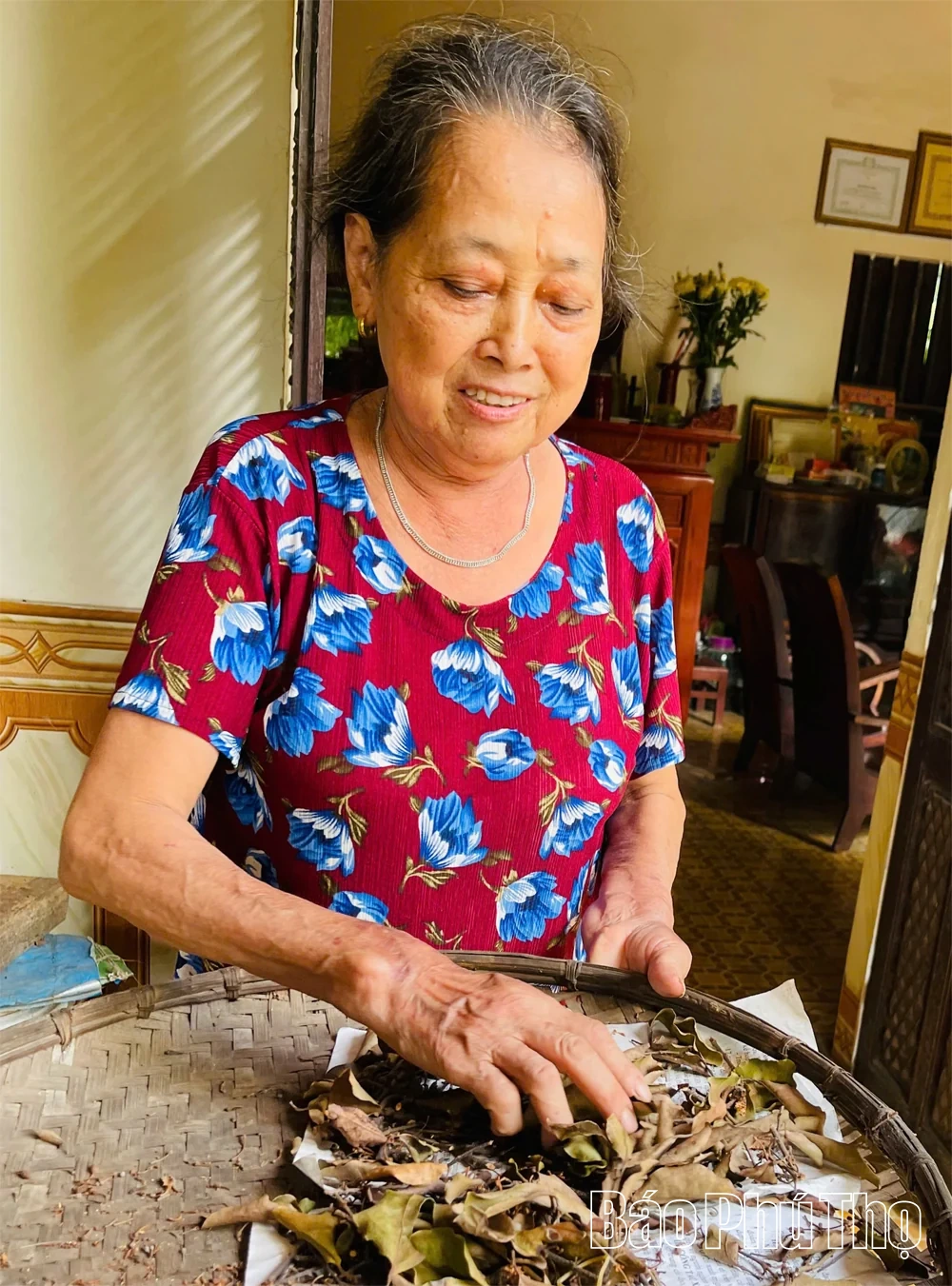 Cây “ăn bám” nhả... tiền