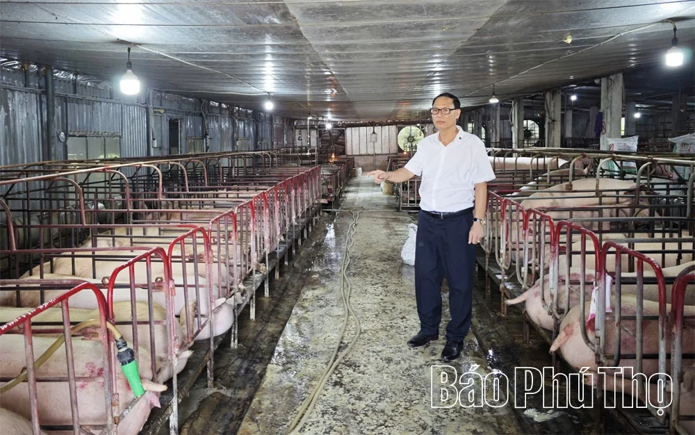 Tỷ phú nhà nông trên quê hương Đất Tổ