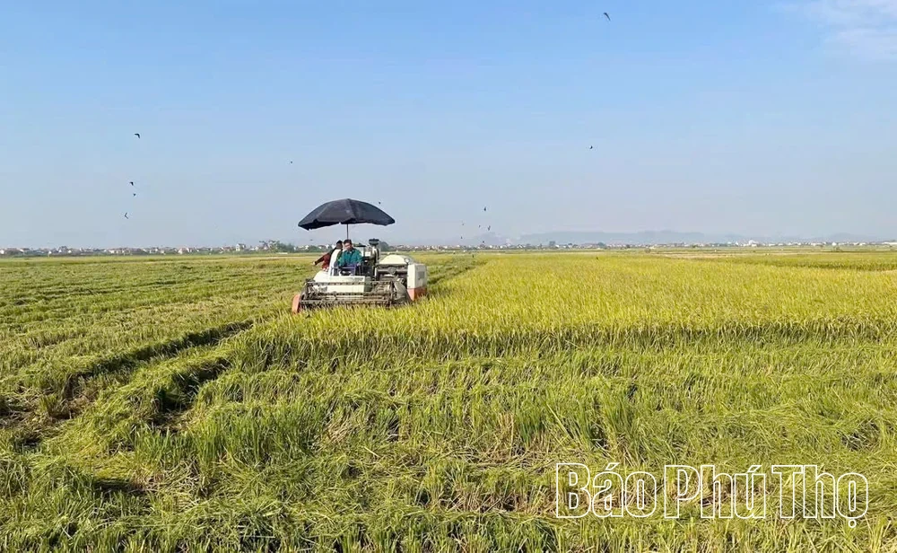 Đưa khoa học kỹ thuật vào trồng trọt