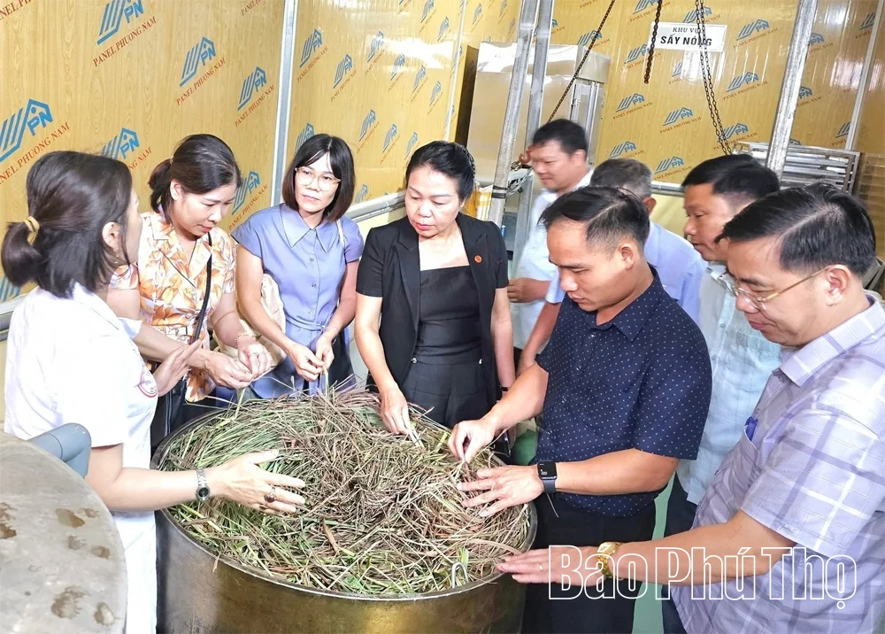 Thượng Long đẩy mạnh giảm nghèo bền vững