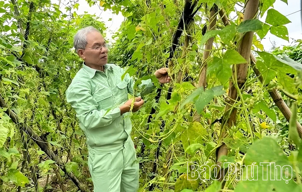 Đào Xá thi đua tạo động lực phát triển kinh tế - xã hội