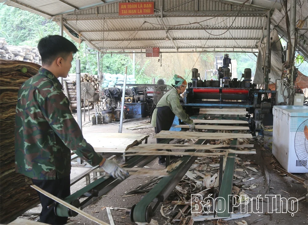 Phát triển nghề chế biến gỗ ở Tây Cốc