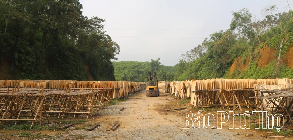 Phát triển nghề chế biến gỗ ở Tây Cốc