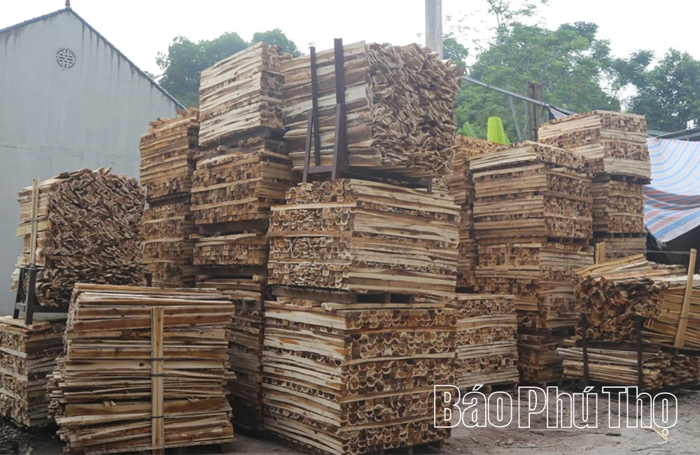 Phát triển nghề chế biến gỗ ở Tây Cốc