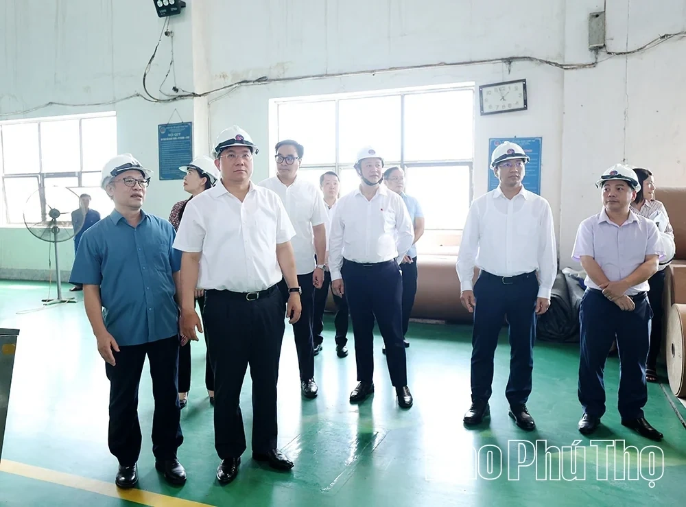 Accompanying and Supporting Enterprises in Factory Relocation to Expand Viet Tri Urban Development Space