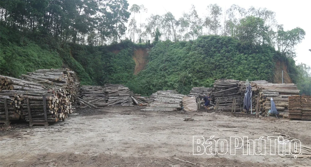Developing the Wood Processing Craft in Tay Coc