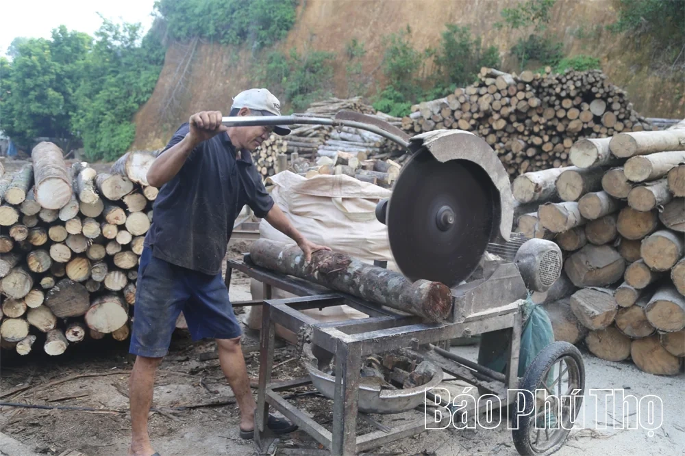 Developing the Wood Processing Craft in Tay Coc