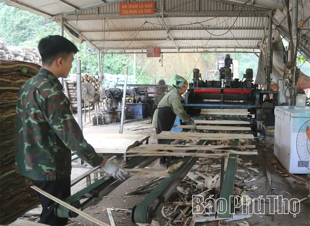 Developing the Wood Processing Craft in Tay Coc