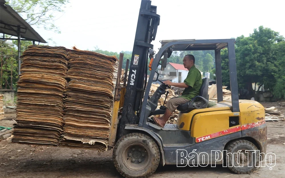 Developing the Wood Processing Craft in Tay Coc