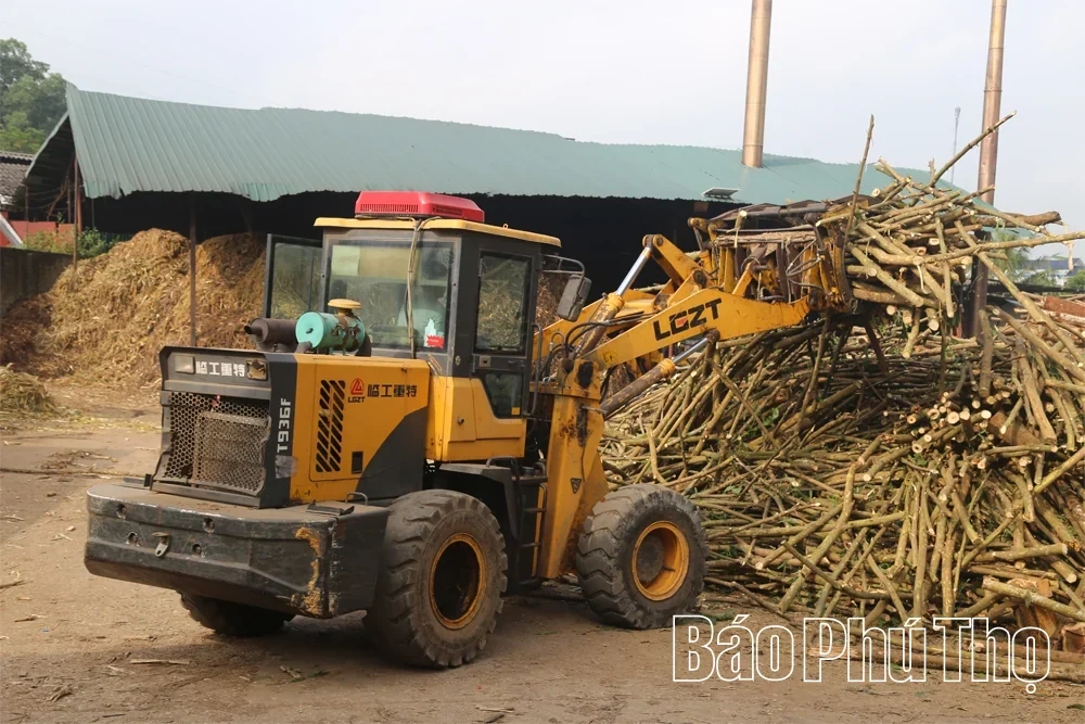 Developing the Wood Processing Craft in Tay Coc