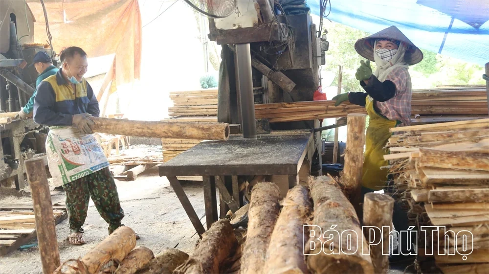 Developing the Wood Processing Craft in Tay Coc
