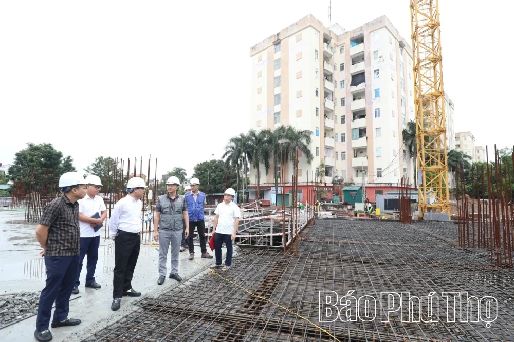 Urging Progress on Social Housing Projects in 3 Wards: Nong Trang, Viet Tri, and Thanh Mieu