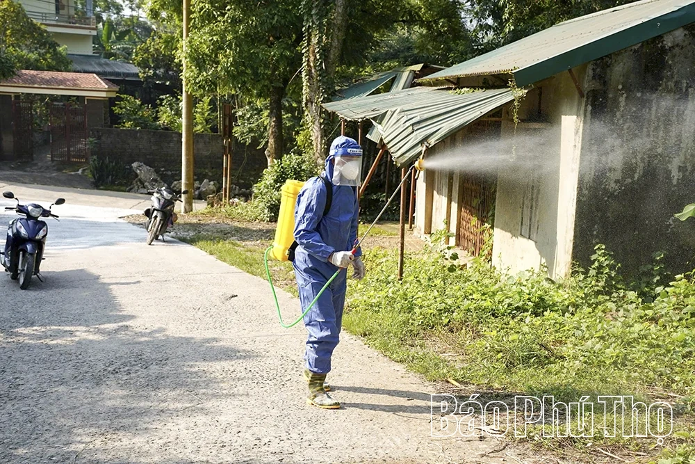 Ngăn chặn nguy cơ lây lan diện rộng dịch tả lợn châu Phi