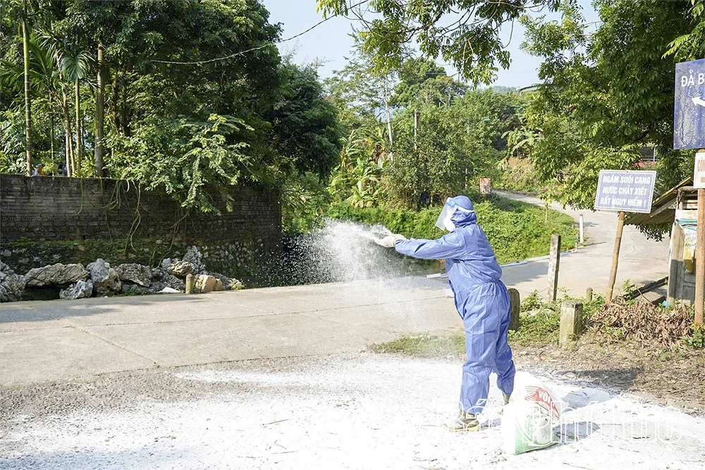 Ngăn chặn nguy cơ lây lan diện rộng dịch tả lợn châu Phi