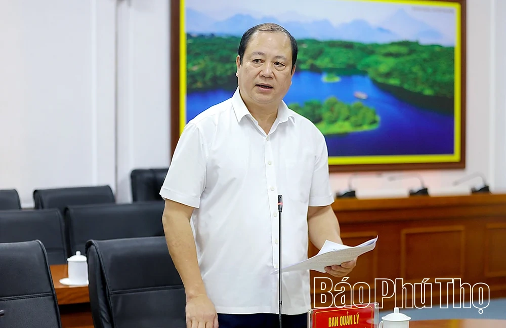 Tập trung hoàn thiện đồ án Quy hoạch phân khu Khu công nghiệp Tam Dương II - khu B