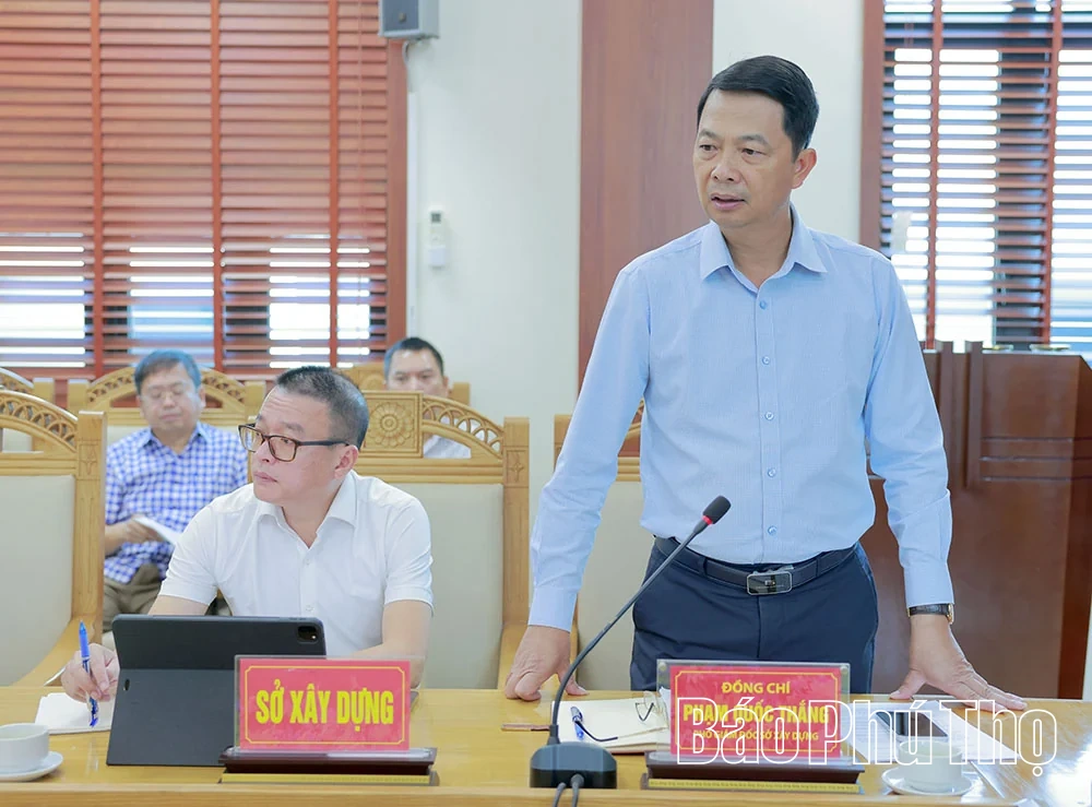 Đoàn đại biểu Quốc hội tỉnh giám sát việc thực hiện chính sách, pháp luật trong quản lý nhà nước về đô thị
