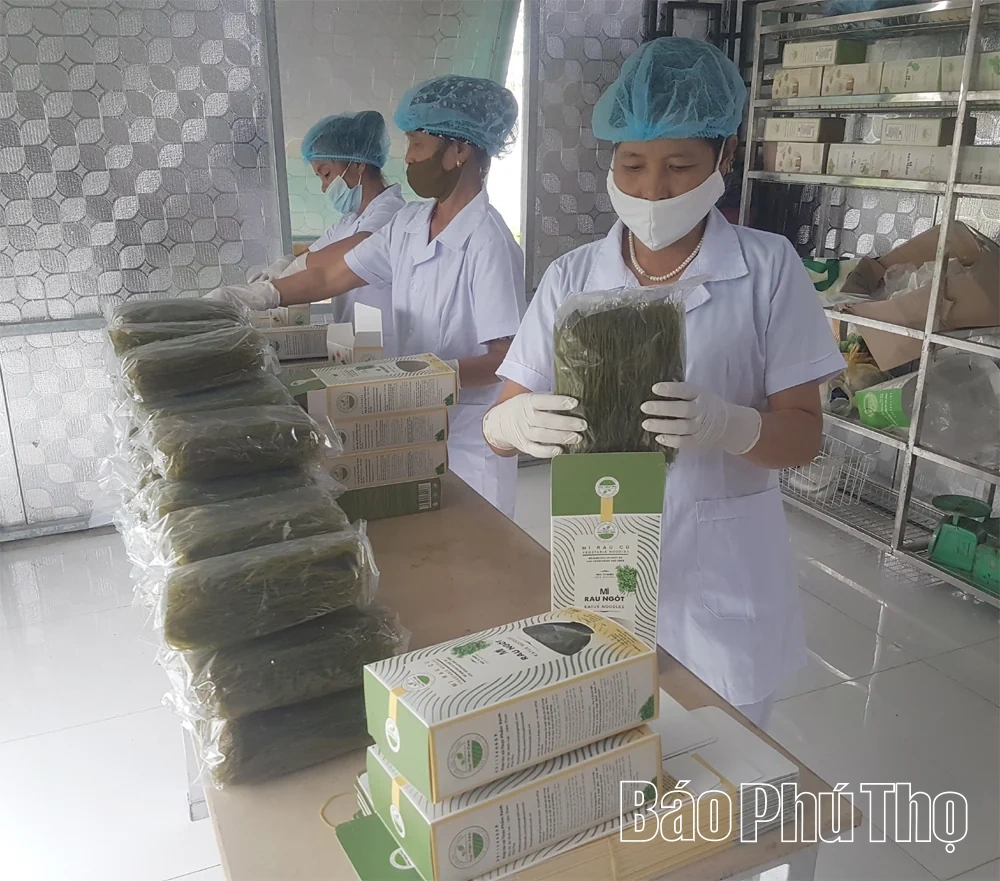 Đưa sản phẩm OCOP vươn xa