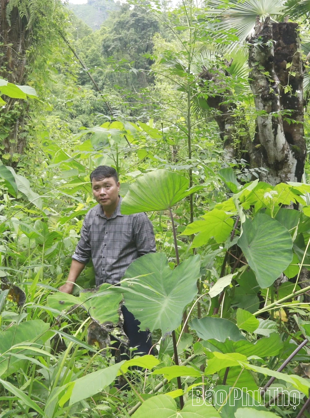 Qua đỉnh Èn Choong