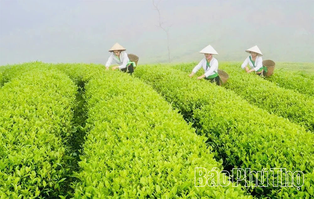 Xây dựng môi trường du lịch an toàn, thân thiện
