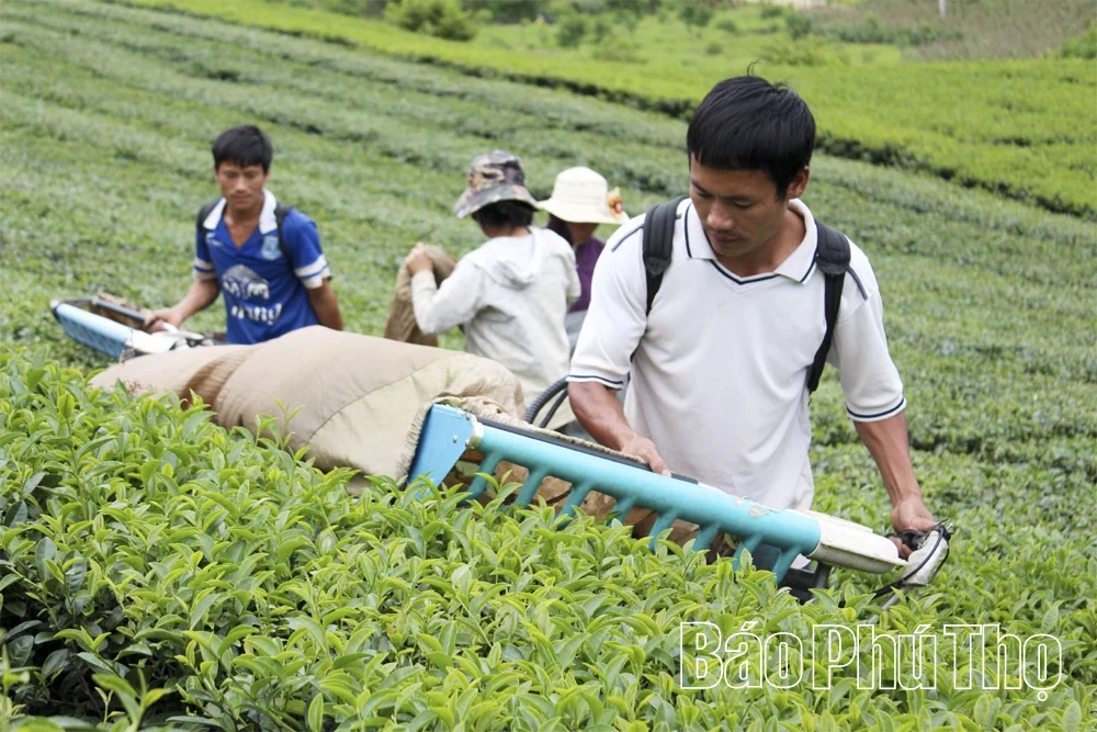 Phát triển hạ tầng nông thôn, tạo động lực hiện đại hóa sản xuất