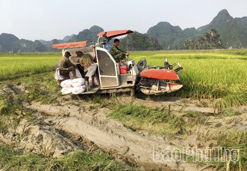 Phát triển hạ tầng nông thôn, tạo động lực hiện đại hóa sản xuất