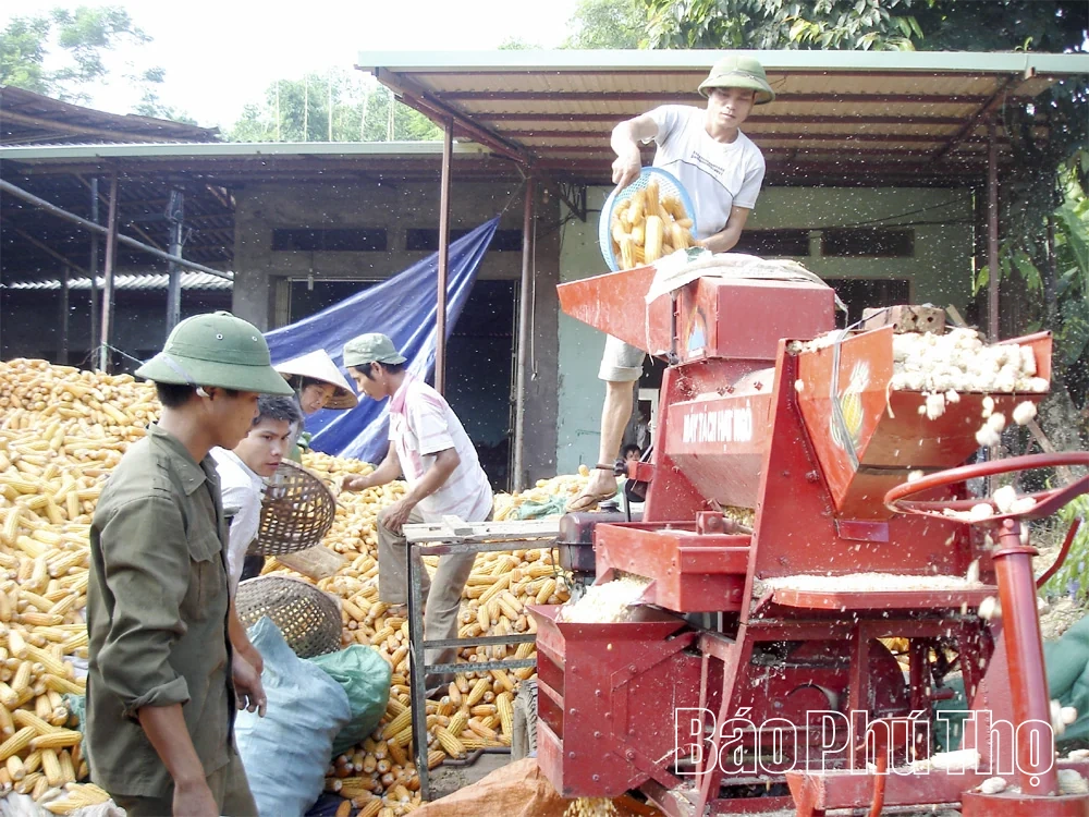Phát triển hạ tầng nông thôn, tạo động lực hiện đại hóa sản xuất