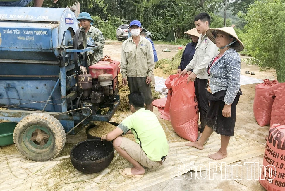 Phát triển hạ tầng nông thôn, tạo động lực hiện đại hóa sản xuất