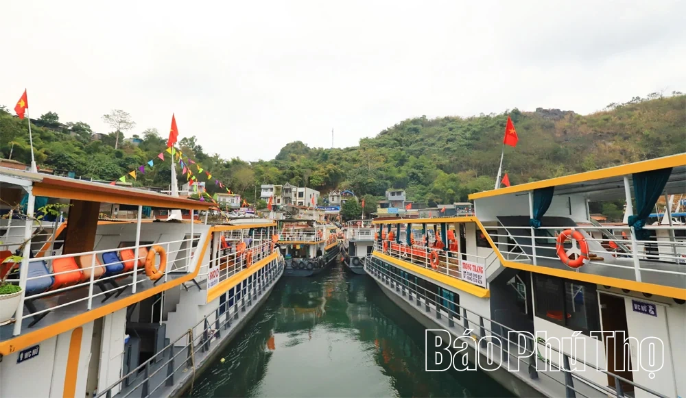 Sức sống vùng hồ Hòa Bình