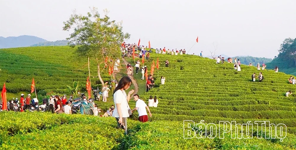 Sản xuất xanh để phát triển bền vững