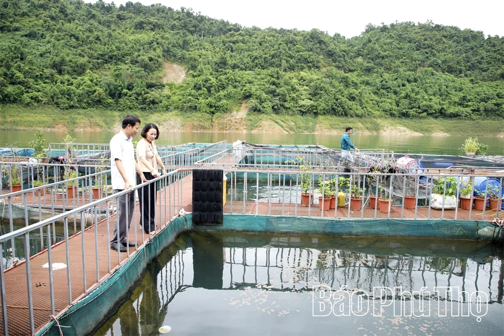 Siết chặt quản lý vật tư, hóa chất trong sản xuất nông nghiệp
