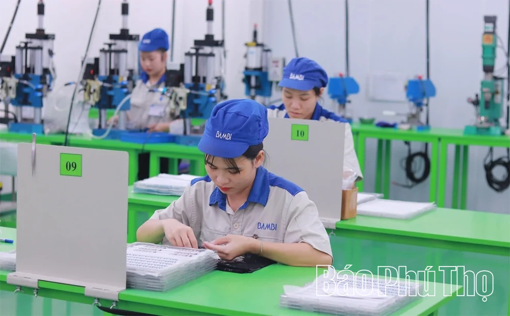 Bình Xuyên mở hướng phát triển