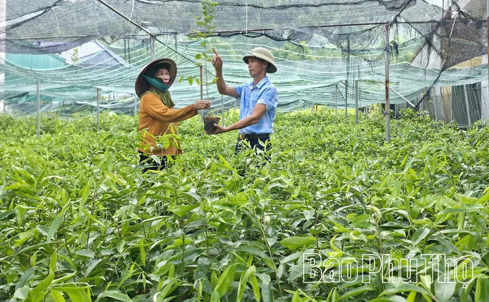 Đổi thay ở Đại Đình