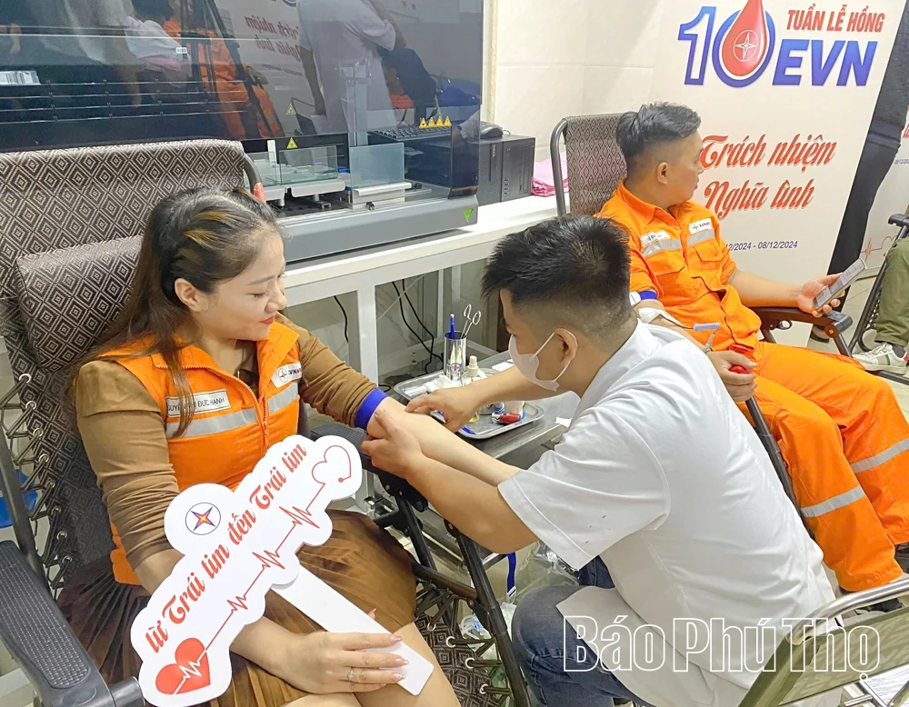 Góp sức giữ dòng điện thông suốt