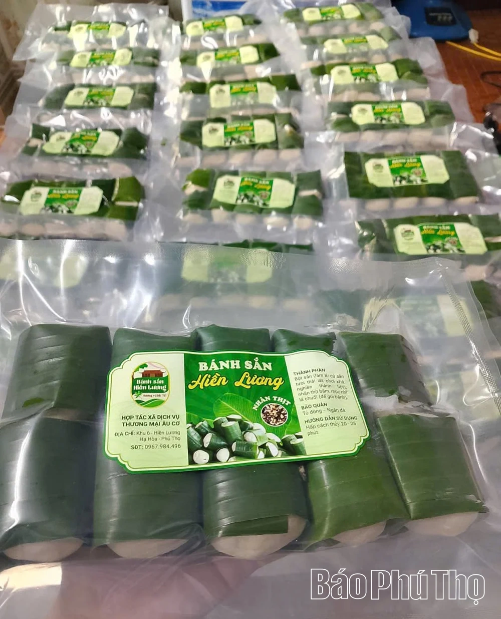 Ân tình cây sắn trung du