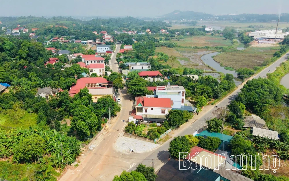 Khi tấc đất hóa... tình quê