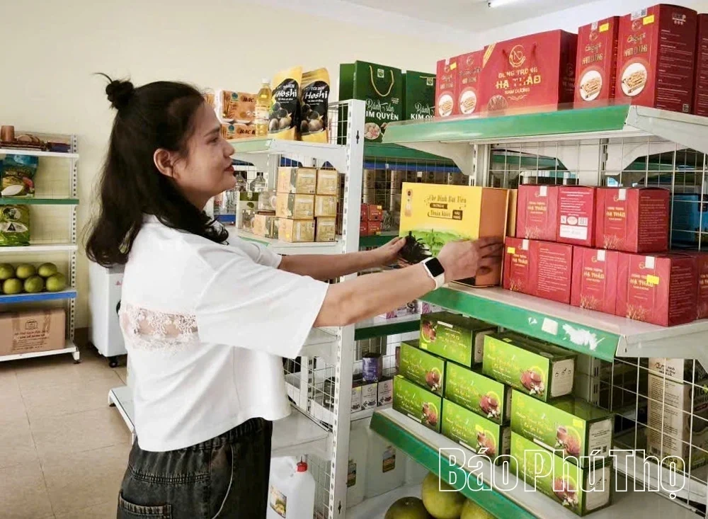 Taking the Flavor of Ancestral Land Tea Far and Wide